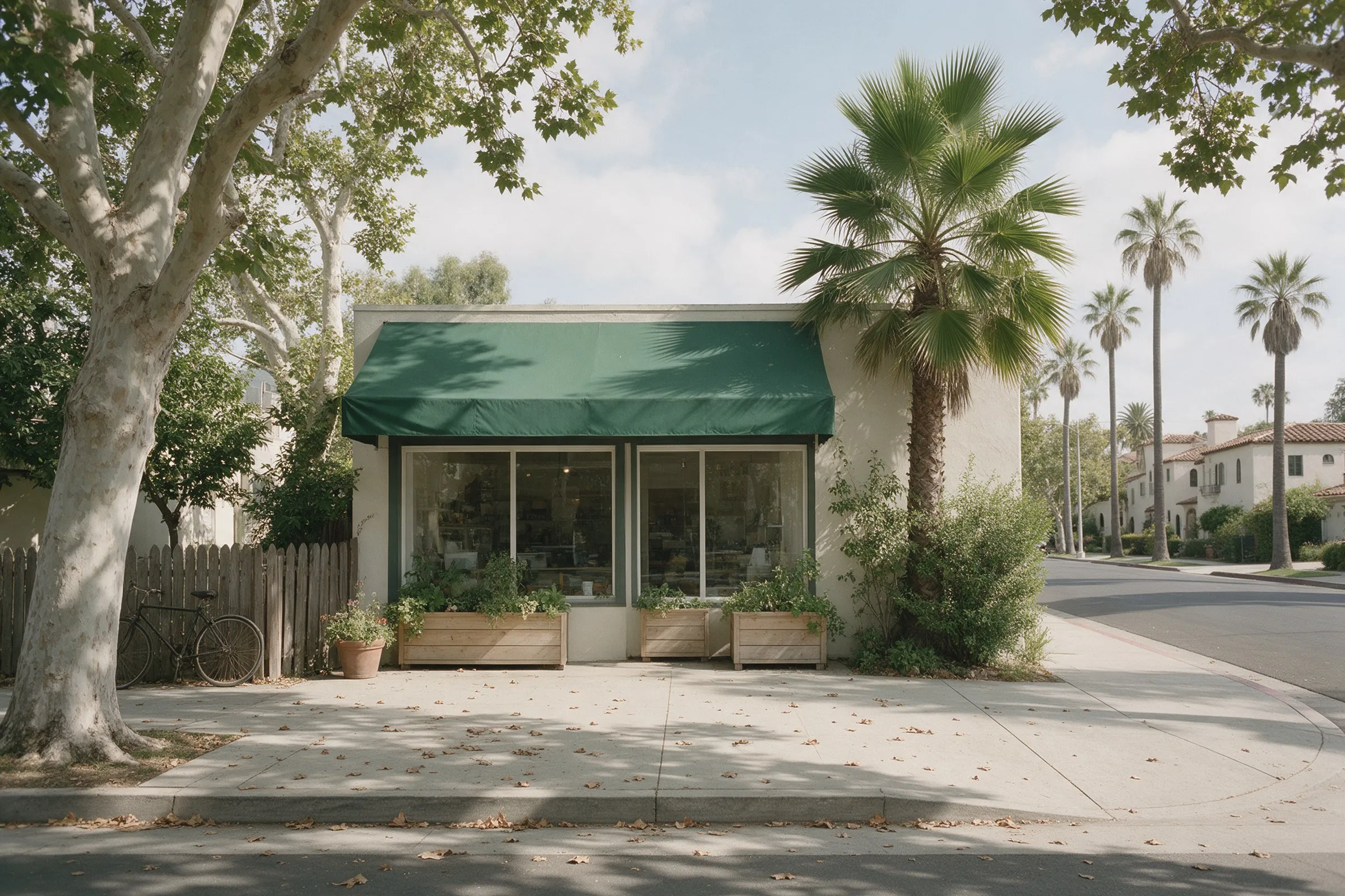 A small shop with a green awning on a street lined with trees
